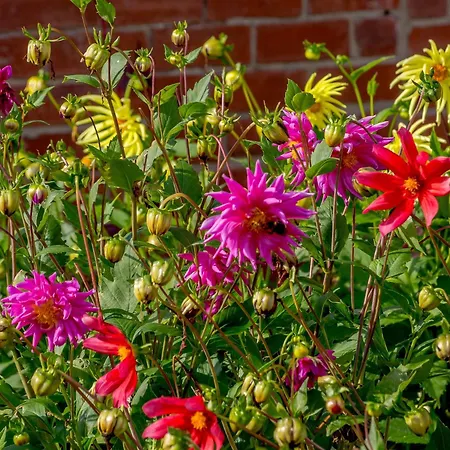 Sea Fever 斯卡伯勒