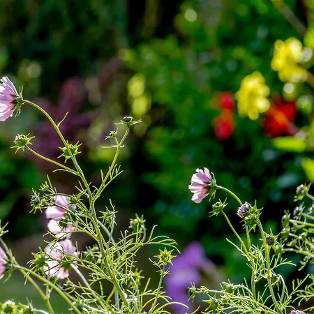 Sea Fever * Scarborough