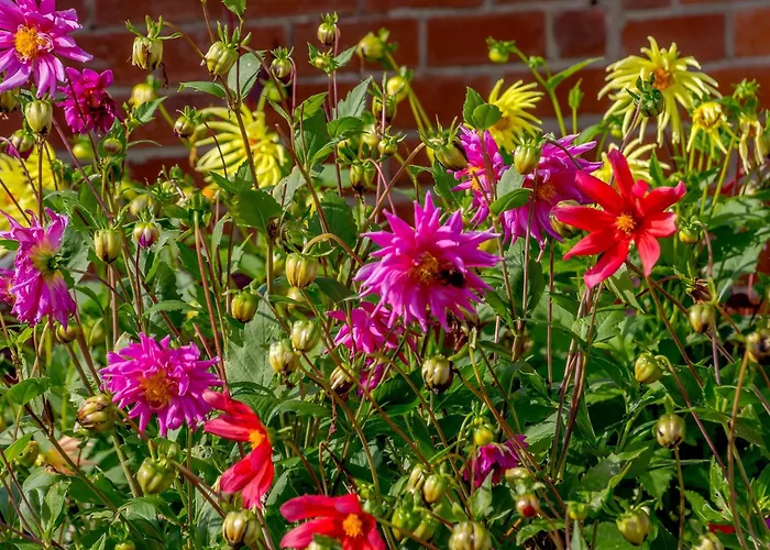 Sea Fever Scarborough