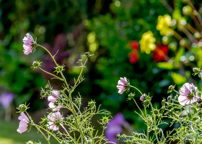 Sea Fever * Scarborough